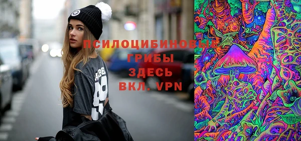 apvp Кукмор