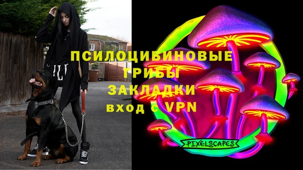 apvp Кукмор