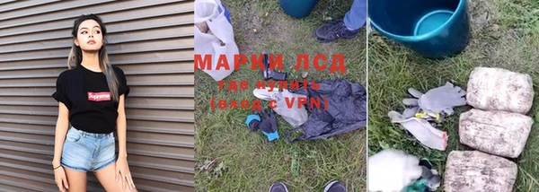 apvp Кукмор