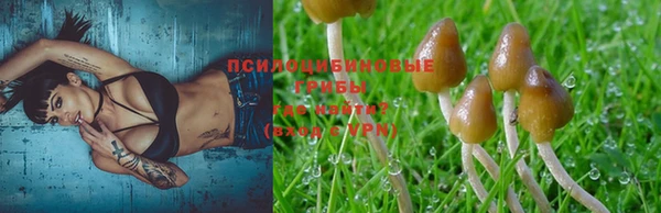 прущая мука Кулебаки